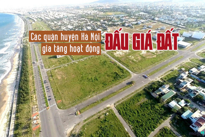 đấu giá đất