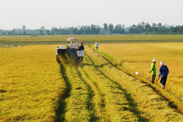 Thị trường BĐS được đánh giá sẽ khởi sắc hơn trong năm 2025 sau khi 3 luật có hiệu lực. Ảnh: Internet