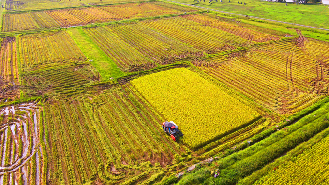 29,002ha đất trồng lúa được đề nghị chuyển đổi để thực hiện 21 dự án tại 6 quận, huyện trên địa bàn Thủ đô. Ảnh: Internet