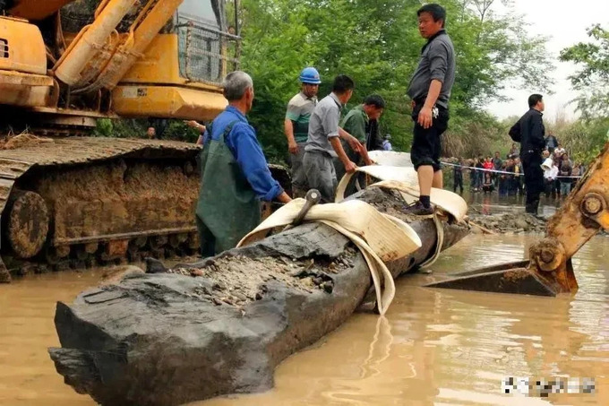 Loại gỗ này được mệnh danh là 