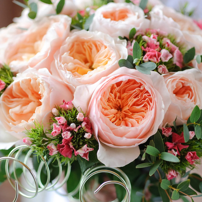 Nhằm lan tỏa vẻ đẹp của Juliet đến với nhiều người yêu hoa hơn, David Austin đã không ngừng cải tiến và cho ra đời phiên bản phổ biến với giá thành
