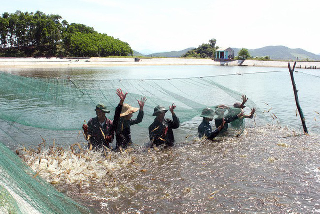 Việc áp dụng công nghệ vào nuôi trồng thủy sản đã mở ra hướng phát triển mới, giúp người nuôi giảm công lao động, tăng năng suất lao động, tăng hiệu quả kinh tế.