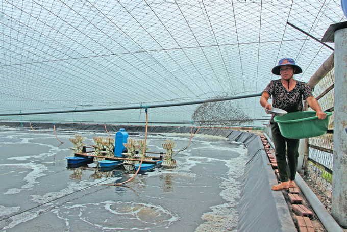 Năng suất thủy sản tăng nhờ ứng dụng công nghệ cao.