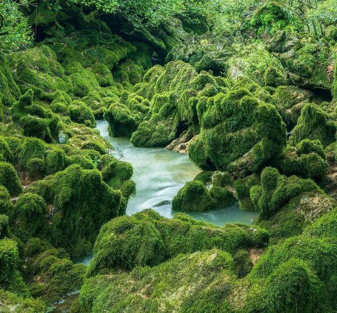 Suối hung Thoòng. Ảnh Jungle Boss Tours