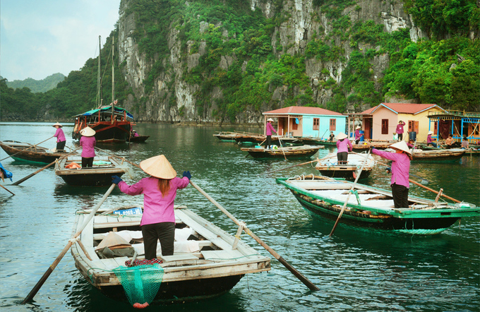 Khu vực này là một trong những vùng kinh tế trọng điểm của đất nước, đồng thời vẫn giữ được vẻ đẹp hoang sơ với rừng rậm, hang động và các vịnh nhỏ lý tưởng cho việc nuôi cấy ngọc trai và thủy sản. Ảnh: Internet