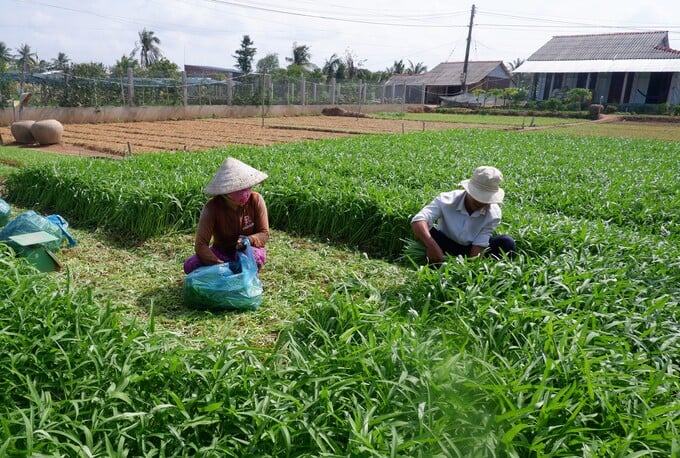 bến tre