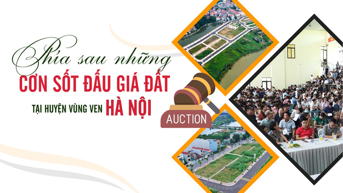 01-bìa. Cơn sốt đấu giá_page-0001