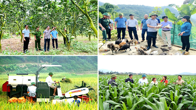 Nhờ phát triển kinh tế HTX, nhiều hộ nông dân trên địa bàn không chỉ thoát nghèo mà còn vươn lên làm giàu từ các ngành, nghề sản xuất của gia đình.