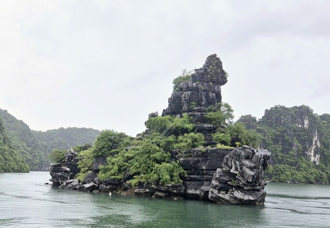 Hòn Xếp được ví như một bảo tàng địa chất sống động, nơi lưu giữ những dấu tích quý giá của quá trình hình thành vịnh Hạ Long. Ảnh: Tiền Phong