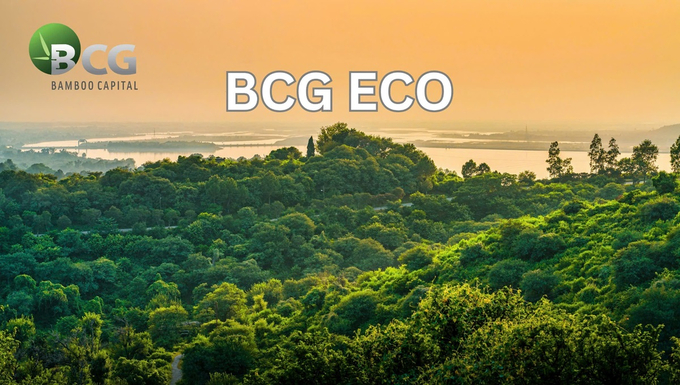 BCG Eco Bamboo Capital