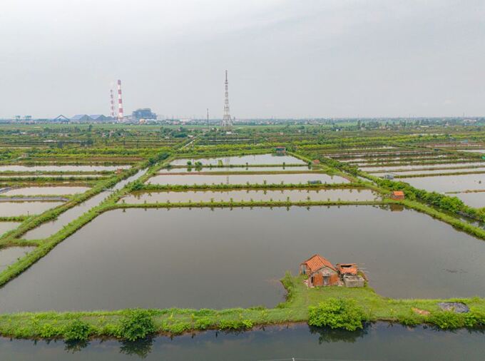 Khu vực quy hoạch để xây dựng dự án hiện đang là đất ruộng, đất trồng hoa màu của người dân. Ảnh: Internet