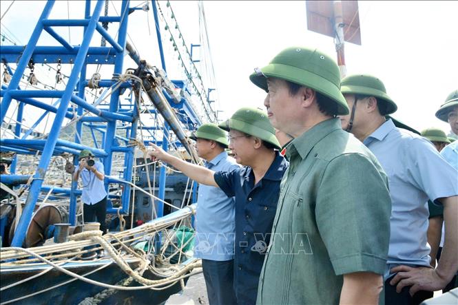 Đoàn kiểm tra công tác phòng chống bão tại Cảnh Cái Rồng huyện Vân Đồn, tỉnh Quảng Ninh.