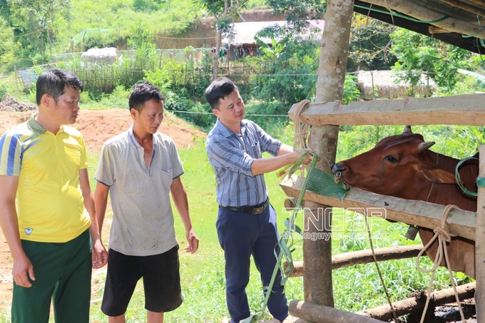 Ông Ma Văn Thành, Phó Chủ tịch UBND xã Phú Đình, huyện Định Hóa (đứng đầu tiên bên phải ảnh) thăm mô hình bò sinh sản thuộc Dự án của gia đình anh Hoàng Văn Đang, xóm Khuôn Tát, xã Phú Đình