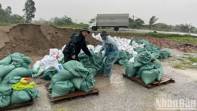 Lực lượng hộ đê đang cho cát vào các bao tải để phòng gia cố đê kè, trong khi mưa bắt đầu to hơn. Ảnh: Mai Tú/Báo Nhân dân