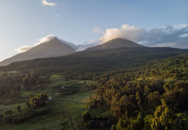 Volcanoes Safaris đã khai trương khu nghỉ dưỡng sang trọng thứ tư tại Uganda - Kibale Lodge. Ảnh: Internet