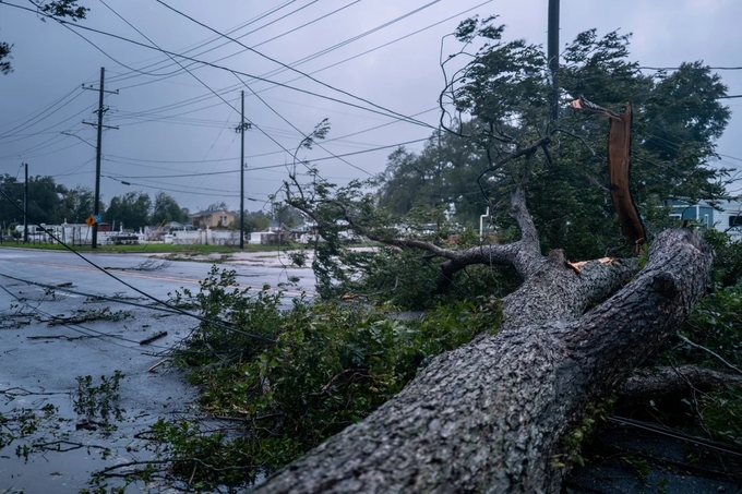 Một cây đổ chặn một ngã tư ở Houma, Louisiana vào thứ tư. Ảnh: Brandon Bell/Getty