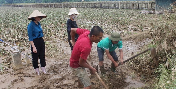 Cán bộ khuyến nông Lào Cai hướng dẫn người dân khôi phục sản xuất nông nghiệp.