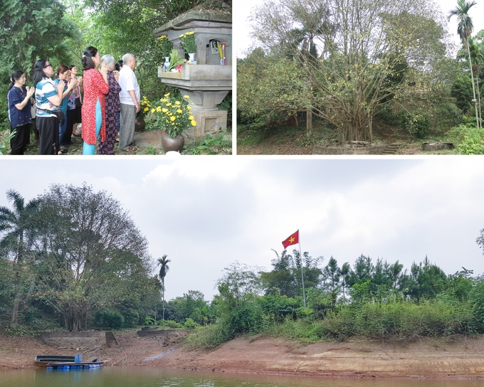 Ngôi nhà đơn sơ nhưng nằm ở vị trí đắc địa, nhìn thẳng ra phía Nam hồ Núi Cốc, được bao quanh bởi hồ nước trong xanh và những cây bóng mát. Ảnh: Báo Thái Nguyên