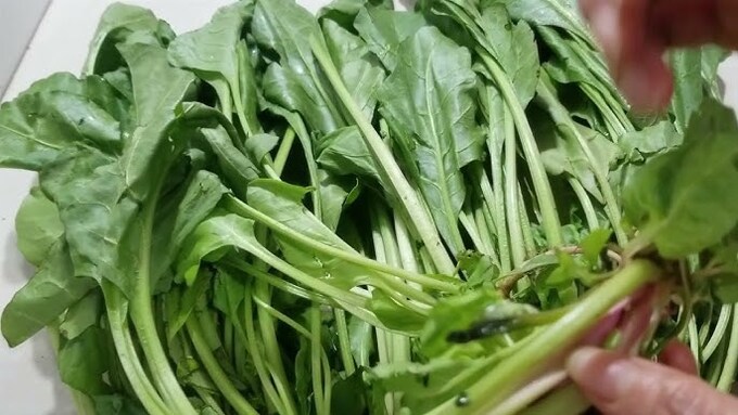 Hợp chất chống oxy hóa như beta-carotene và lutein trong cải bó xôi giúp bảo vệ cơ thể khỏi sự tấn công của các gốc tự do (Ảnh: Internet)