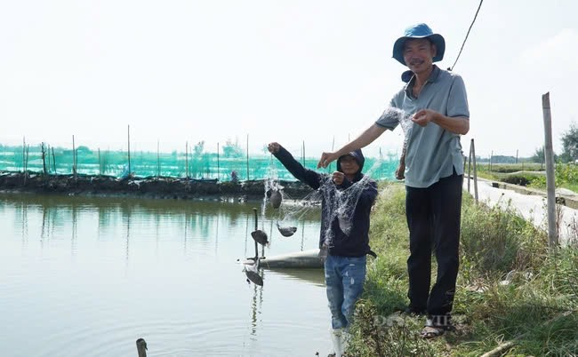 Mỗi năm anh Trương Ngọc Nhật thu hoạch 10 tấn tôm chân trắng, 5 tấn tôm sú, 54 tấn cá dìa, 30 tấn cá đối, chưa kể lượng lớn cua biển nuôi theo hình thức xen ghép. Ở địa phương, nhiều người ví anh Nhật 