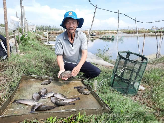 Doanh thu đạt được từ mô hình nuôi thủy sản xen ghép của anh Trương Ngọc Nhật là 11 tỷ đồng/năm, lợi nhuận đạt 2 tỷ đồng/năm. Đây chỉ là doanh thu nuôi thủy sản xen ghép, chưa kể tới doanh thu từ kinh doanh vật tư ngành nuôi trồng thủy sản.