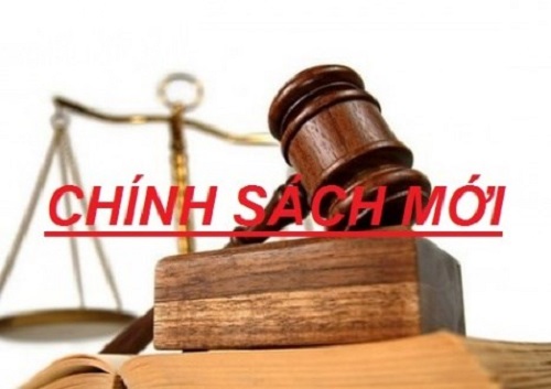 chinh-sach-moi