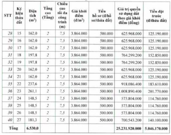 Thông tin về 40 thửa đất được mang ra đấu giá tại huyện Thường Tín. Ảnh chụp màn hình