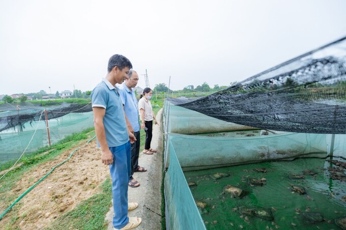 Tại trang trại nuôi thủy sản của gia đình anh Bảo, ếch được chia thành các lồng nổi trên mặt ao, mỗi lồng nuôi thả ếch theo từng độ tuổi khác nhau để thuận tiện chăm sóc. Bên ngoài lồng lưới, anh Bảo thả nuôi hàng vạn con cá rô đồng. Trang trại chăn nuôi thủy sản kết hợp độc đáo của anh Bảo ở thôn Ngọc Trai, xã Việt Lập, huyện Tân Yên, tỉnh Bắc Giang.