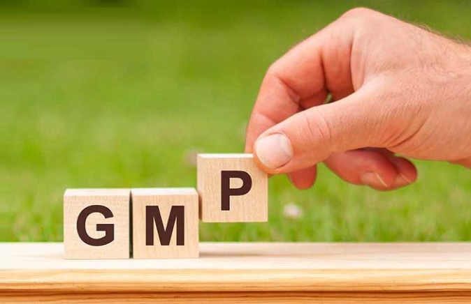 gmp