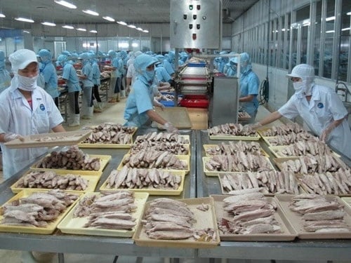 Nga nhập khẩu từ Việt Nam các sản phẩm nông sản nhiệt đới, thủy sản, thực phẩm…