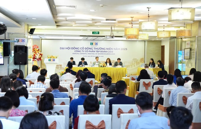 Toàn cảnh Đại hội đồng cổ đông thường niên năm 2025 của Tập đoàn CEO. Ảnh: CEO