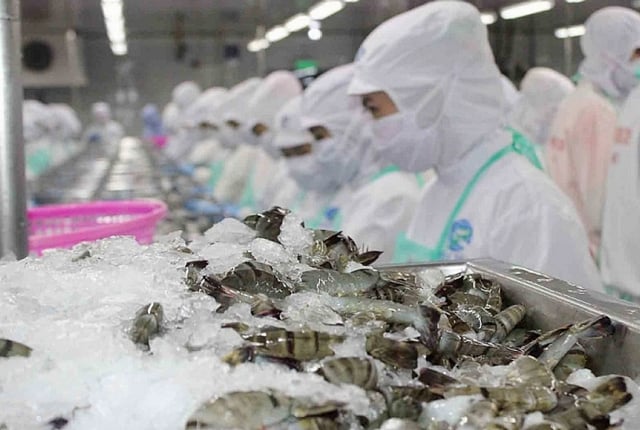 Xuất khẩu thủy sản Việt Nam trong 4 tháng đầu năm 2025 ghi nhận sự phục hồi mạnh mẽ, đạt kim ngạch 3,3 tỷ USD, tăng 21% so với cùng kỳ năm 2024. Ảnh: VASEP