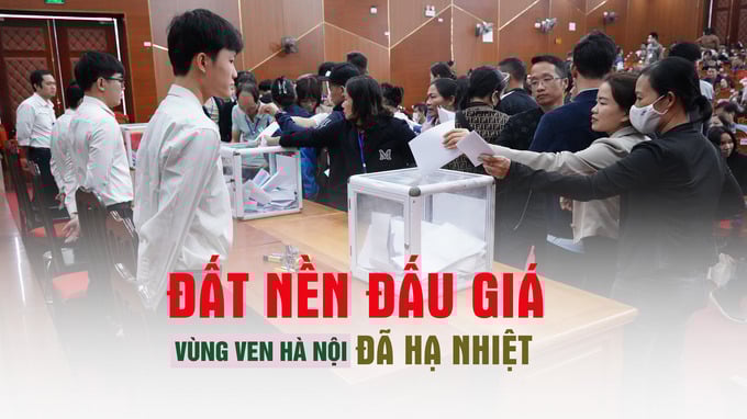 tk đấu giá đất bằng bỏ phiếu 1