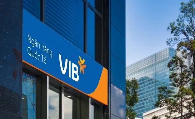 Năm 2025, VIB đặt kế hoạch 11.020 tỷ đồng lợi nhuận trước thuế, tăng 22% so với năm trước.