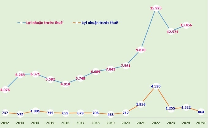 Biểu đồ: Doanh thu thuần, lợi nhuận trước thuế của Đạm Cà Mau giai đoạn 2012-2024 và kế hoạch lợi nhuận trước thuế 2025 (Đvt: tỷ đồng).