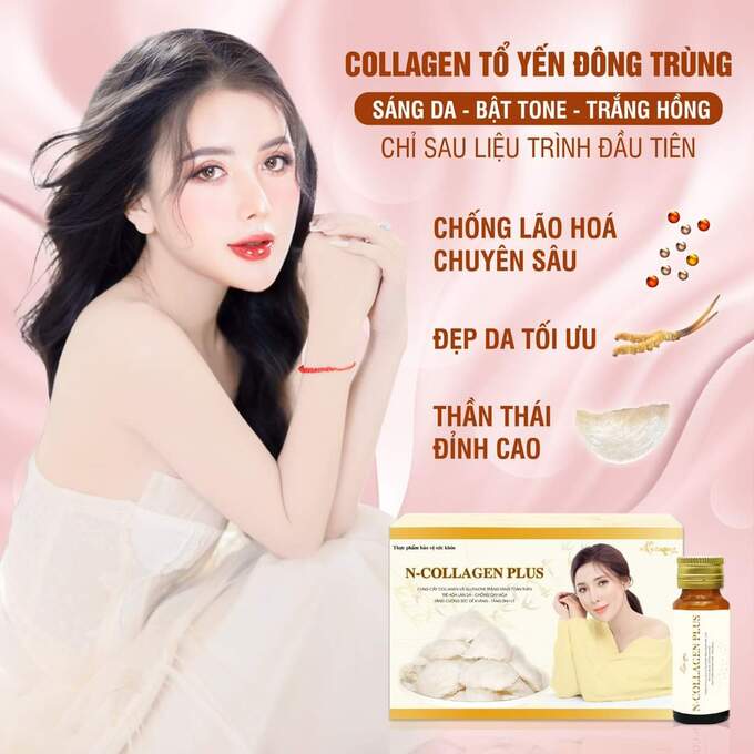 tổ yến