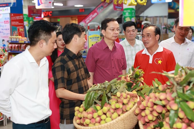 Saigon Co.op đưa vải thiều vào hơn 800 điểm bán trên toàn quốc, với sản lượng tăng 20% so với cùng kỳ