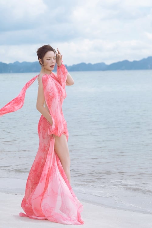 Trong vai trò này, cô đã không ngừng nỗ lực để quảng bá vẻ đẹp của Vịnh Hạ Long và kêu gọi cộng đồng trong nước và quốc tế cùng bình chọn.