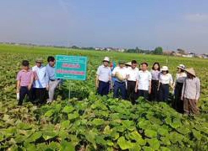 Ảnh chụp Màn hình 2025-06-10 lúc 00.39.41
