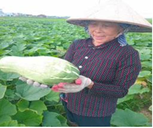 Ảnh chụp Màn hình 2025-06-10 lúc 00.39.53