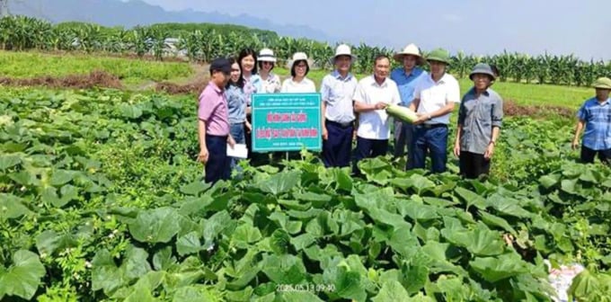 Ảnh chụp Màn hình 2025-06-10 lúc 00.40.03