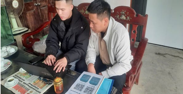 ĐT mật ong