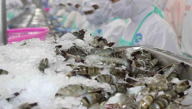 Trong 5 tháng, tôm tiếp tục là mặt hàng dẫn đầu với kim ngạch xuất khẩu hơn 1,71 tỷ USD, tăng 32%.