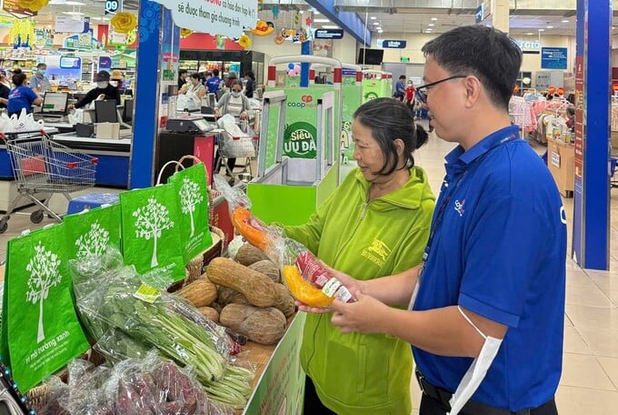 Những hoạt động hấp dẫn của chương trình