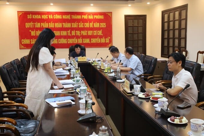 nghien-cuu-danh-gia-tiem-nang-va-kha-nang-sinh-truong-loai-hai-mien-tai-hai-phong638868900661375672