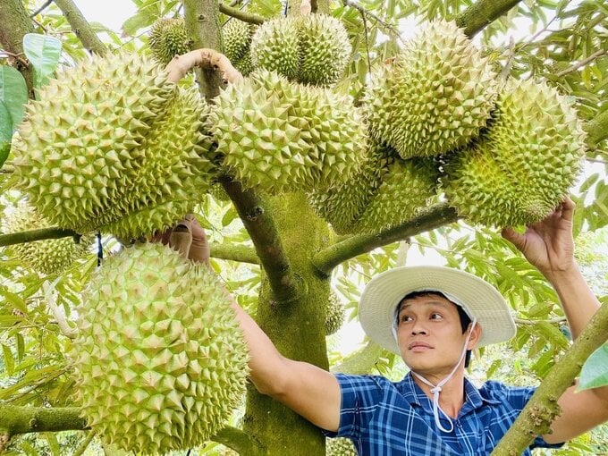 SẦU