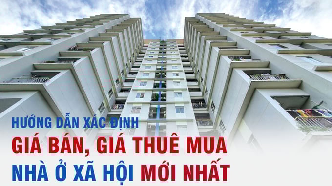 nhaoxahoi