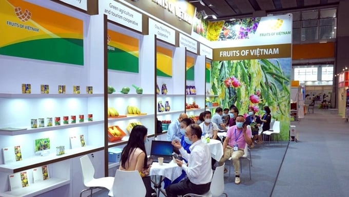 xúc tiến