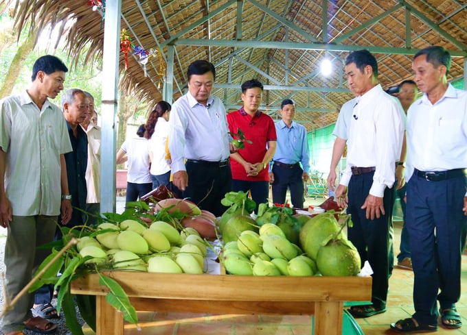 Phó Chủ tịch Quốc hội Lê Minh Hoan thăm quan Lễ hội xoài Đồng Tháp.