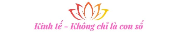 Dong Thap 3